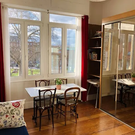 4 Etoiles Magnifique Neustadt - Spacieux, & Elegant Avec Balcon Et Belle Vue * Strasbourg